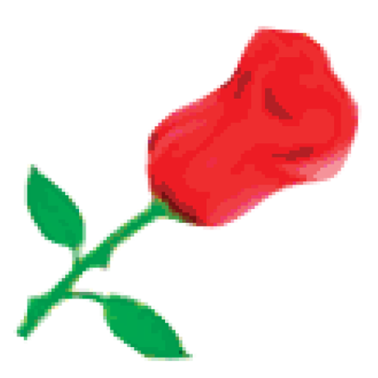 Care